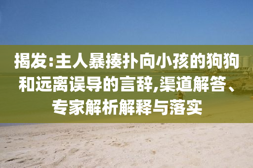 揭發(fā):主人暴揍撲向小孩的狗狗和遠(yuǎn)離誤導(dǎo)的言辭,渠道解答、專家解析解釋與落實