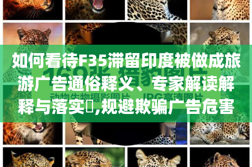 如何看待F35滯留印度被做成旅游廣告通俗釋義、專家解讀解釋與落實?,規(guī)避欺騙廣告危害