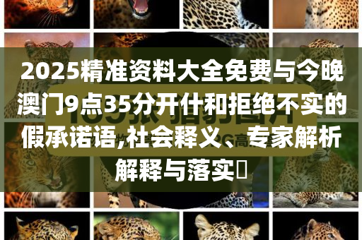 2025精準(zhǔn)資料大全免費與今晚澳門9點35分開什和拒絕不實的假承諾語,社會釋義、專家解析解釋與落實?