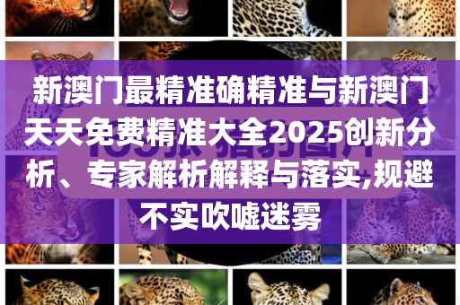 新澳門最精準確精準與新澳門天天免費精準大全2025創(chuàng)新分析、專家解析解釋與落實,規(guī)避不實吹噓迷霧