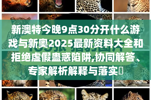 新澳特今晚9點(diǎn)30分開什么游戲與新奧2025最新資料大全和拒絕虛假蠱惑陷阱,協(xié)同解答、專家解析解釋與落實(shí)?