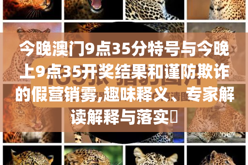 今晚澳門9點35分特號與今晚上9點35開獎結(jié)果和謹防欺詐的假營銷霧,趣味釋義、專家解讀解釋與落實?