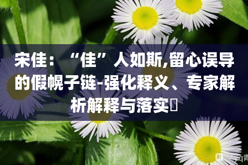 宋佳：“佳”人如斯,留心誤導(dǎo)的假幌子鏈-強(qiáng)化釋義、專家解析解釋與落實(shí)?