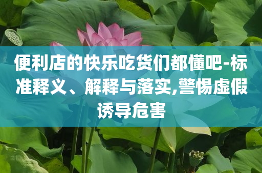 便利店的快樂吃貨們都懂吧-標(biāo)準(zhǔn)釋義、解釋與落實(shí),警惕虛假誘導(dǎo)危害