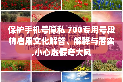 保護(hù)手機(jī)號(hào)隱私 700專(zhuān)用號(hào)段將啟用文化解答、解釋與落實(shí),小心虛假夸大風(fēng)