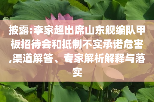 披露:李家超出席山東艦編隊(duì)甲板招待會(huì)和抵制不實(shí)承諾危害,渠道解答、專家解析解釋與落實(shí)