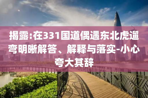 揭露:在331國(guó)道偶遇東北虎遛彎明晰解答、解釋與落實(shí)-小心夸大其辭