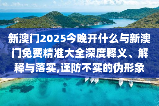 新澳門2025今晚開什么與新澳門免費精準大全深度釋義、解釋與落實,謹防不實的偽形象
