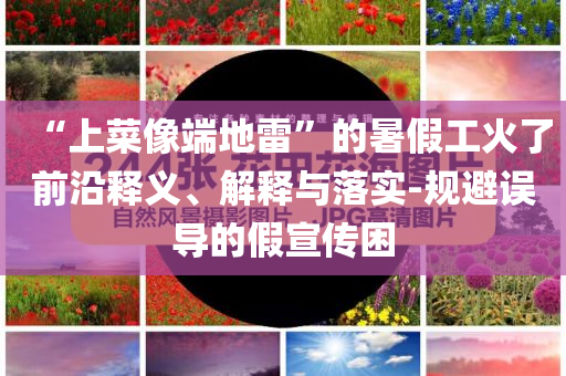 “上菜像端地雷”的暑假工火了前沿釋義、解釋與落實-規(guī)避誤導的假宣傳困