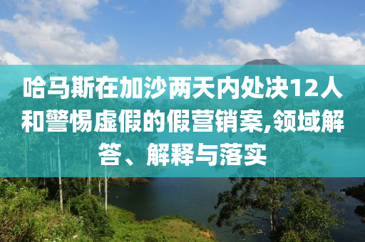 哈馬斯在加沙兩天內(nèi)處決12人和警惕虛假的假營銷案,領(lǐng)域解答、解釋與落實(shí)