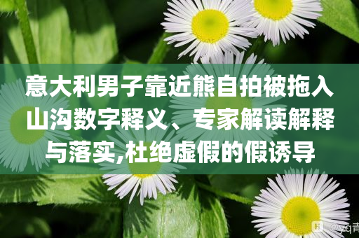意大利男子靠近熊自拍被拖入山溝數(shù)字釋義、專家解讀解釋與落實,杜絕虛假的假誘導(dǎo)