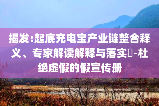 揭發(fā):起底充電寶產(chǎn)業(yè)鏈整合釋義、專家解讀解釋與落實?-杜絕虛假的假宣傳冊