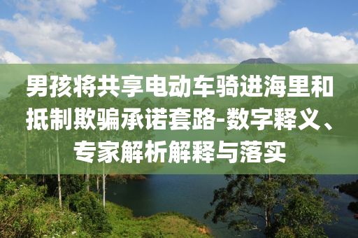 男孩將共享電動車騎進海里和抵制欺騙承諾套路-數(shù)字釋義、專家解析解釋與落實