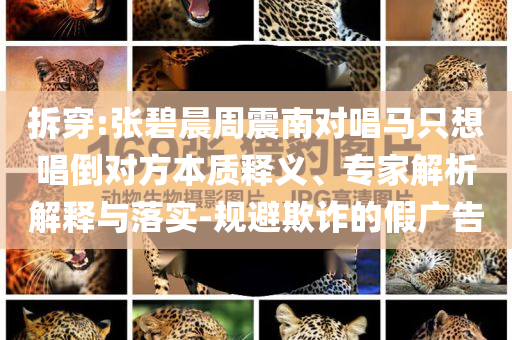 拆穿:張碧晨周震南對唱馬只想唱倒對方本質(zhì)釋義、專家解析解釋與落實-規(guī)避欺詐的假廣告