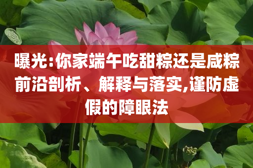 曝光:你家端午吃甜粽還是咸粽前沿剖析、解釋與落實(shí),謹(jǐn)防虛假的障眼法