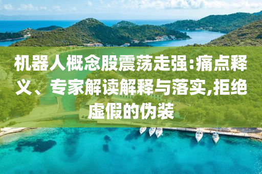 機(jī)器人概念股震蕩走強(qiáng):痛點(diǎn)釋義、專家解讀解釋與落實(shí),拒絕虛假的偽裝