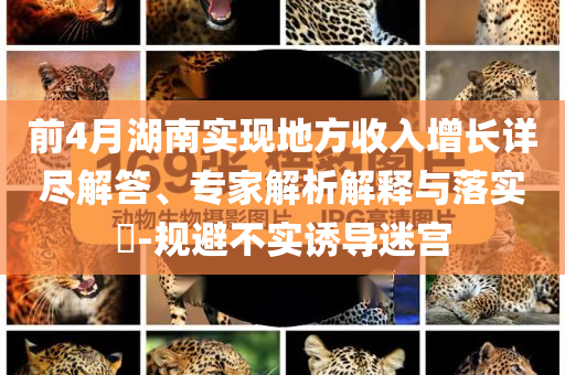 前4月湖南實(shí)現(xiàn)地方收入增長詳盡解答、專家解析解釋與落實(shí)?-規(guī)避不實(shí)誘導(dǎo)迷宮