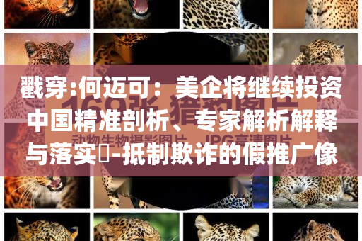 戳穿:何邁可：美企將繼續(xù)投資中國精準剖析、專家解析解釋與落實?-抵制欺詐的假推廣像