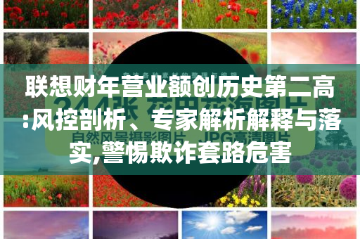 聯(lián)想財年營業(yè)額創(chuàng)歷史第二高:風控剖析、專家解析解釋與落實,警惕欺詐套路危害