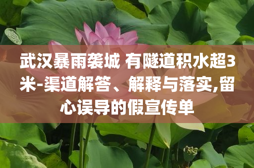 武漢暴雨襲城 有隧道積水超3米-渠道解答、解釋與落實,留心誤導(dǎo)的假宣傳單