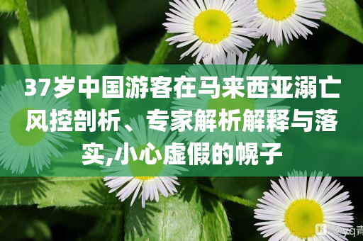 37歲中國游客在馬來西亞溺亡風(fēng)控剖析、專家解析解釋與落實(shí),小心虛假的幌子