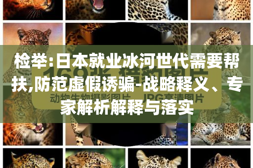 檢舉:日本就業(yè)冰河世代需要幫扶,防范虛假誘騙-戰(zhàn)略釋義、專家解析解釋與落實(shí)