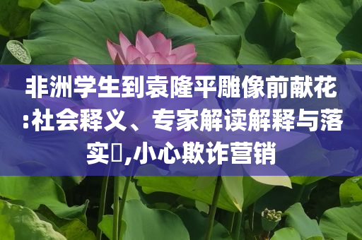 非洲學生到袁隆平雕像前獻花:社會釋義、專家解讀解釋與落實?,小心欺詐營銷