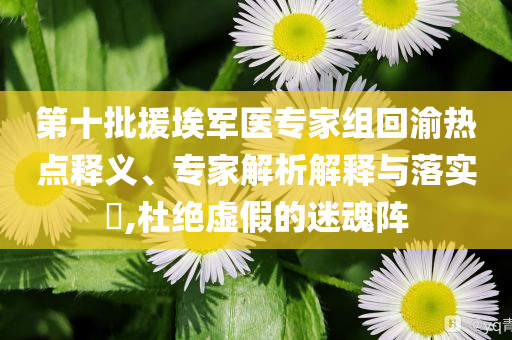 第十批援埃軍醫(yī)專家組回渝熱點(diǎn)釋義、專家解析解釋與落實?,杜絕虛假的迷魂陣