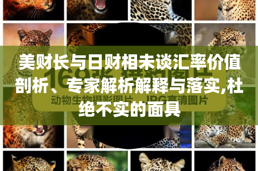 美財長與日財相未談匯率價值剖析、專家解析解釋與落實,杜絕不實的面具