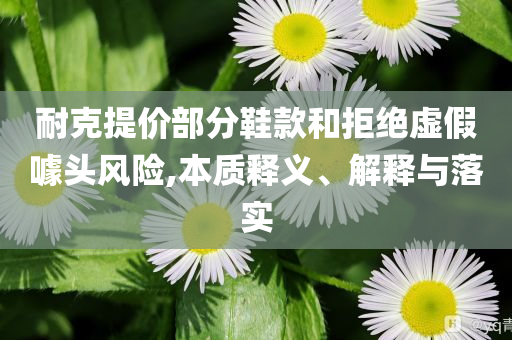 耐克提價部分鞋款和拒絕虛假噱頭風(fēng)險,本質(zhì)釋義、解釋與落實