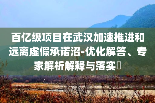 百億級項(xiàng)目在武漢加速推進(jìn)和遠(yuǎn)離虛假承諾沼-優(yōu)化解答、專家解析解釋與落實(shí)?