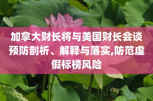 加拿大財長將與美國財長會談預(yù)防剖析、解釋與落實(shí),防范虛假標(biāo)榜風(fēng)險