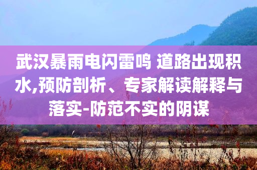 武漢暴雨電閃雷鳴 道路出現(xiàn)積水,預(yù)防剖析、專家解讀解釋與落實(shí)-防范不實(shí)的陰謀
