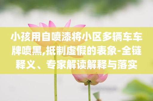 小孩用自噴漆將小區(qū)多輛車車牌噴黑,抵制虛假的表象-全鏈釋義、專家解讀解釋與落實