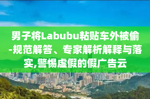 男子將Labubu粘貼車外被偷-規(guī)范解答、專家解析解釋與落實(shí),警惕虛假的假廣告云
