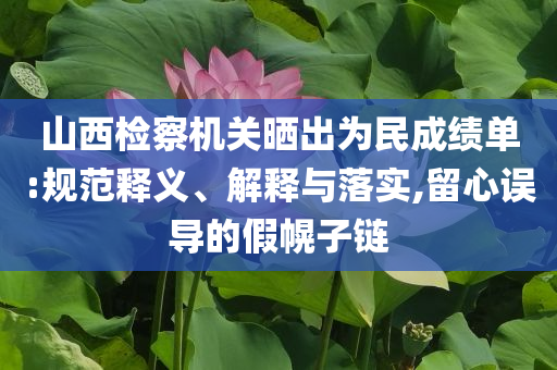 山西檢察機(jī)關(guān)曬出為民成績單:規(guī)范釋義、解釋與落實(shí),留心誤導(dǎo)的假幌子鏈