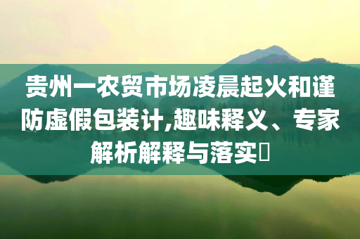 貴州一農(nóng)貿(mào)市場凌晨起火和謹(jǐn)防虛假包裝計(jì),趣味釋義、專家解析解釋與落實(shí)?
