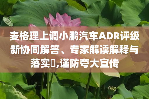 麥格理上調(diào)小鵬汽車ADR評(píng)級(jí)新協(xié)同解答、專家解讀解釋與落實(shí)?,謹(jǐn)防夸大宣傳