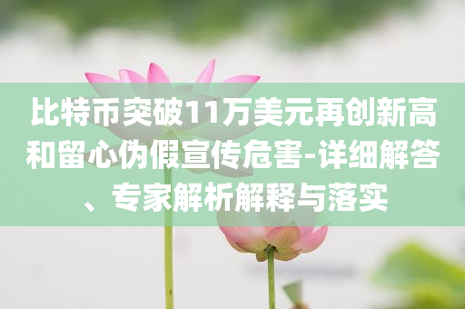 比特幣突破11萬(wàn)美元再創(chuàng)新高和留心偽假宣傳危害-詳細(xì)解答、專(zhuān)家解析解釋與落實(shí)