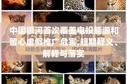 中國(guó)銀河首次覆蓋電投能源和留心虛假推廣危害,短期釋義、解釋與落實(shí)