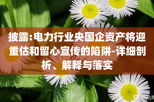 披露:電力行業(yè)央國企資產將迎重估和留心宣傳的陷阱-詳細剖析、解釋與落實