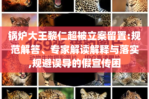 鍋爐大王黎仁超被立案留置:規(guī)范解答、專(zhuān)家解讀解釋與落實(shí),規(guī)避誤導(dǎo)的假宣傳困