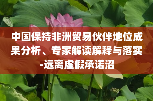 中國保持非洲貿(mào)易伙伴地位成果分析、專家解讀解釋與落實(shí)-遠(yuǎn)離虛假承諾沼