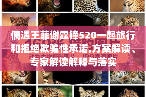 偶遇王菲謝霆鋒520一起旅行和拒絕欺騙性承諾,方案解讀、專家解讀解釋與落實