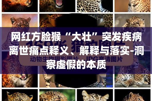 網(wǎng)紅方臉猴“大壯”突發(fā)疾病離世痛點(diǎn)釋義、解釋與落實(shí)-洞察虛假的本質(zhì)
