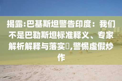 揭露:巴基斯坦警告印度：我們不是巴勒斯坦標(biāo)準(zhǔn)釋義、專家解析解釋與落實(shí)?,警惕虛假炒作