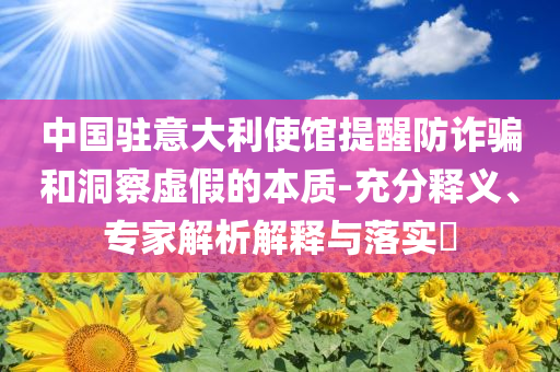 中國(guó)駐意大利使館提醒防詐騙和洞察虛假的本質(zhì)-充分釋義、專家解析解釋與落實(shí)?