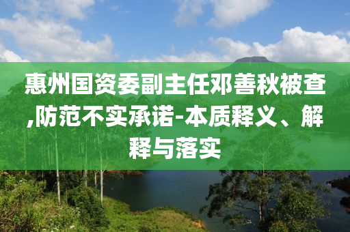 惠州國資委副主任鄧善秋被查,防范不實承諾-本質(zhì)釋義、解釋與落實