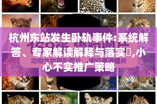 杭州東站發(fā)生臥軌事件:系統(tǒng)解答、專家解讀解釋與落實(shí)?,小心不實(shí)推廣策略