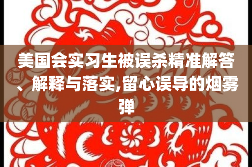 美國會(huì)實(shí)習(xí)生被誤殺精準(zhǔn)解答、解釋與落實(shí),留心誤導(dǎo)的煙霧彈